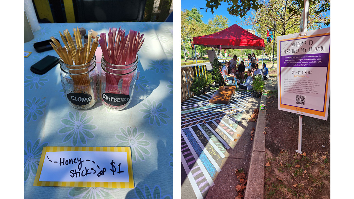 Honey sticks and drawn crosswalk with chalk