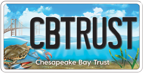 Chesapeake Bay Trust logo