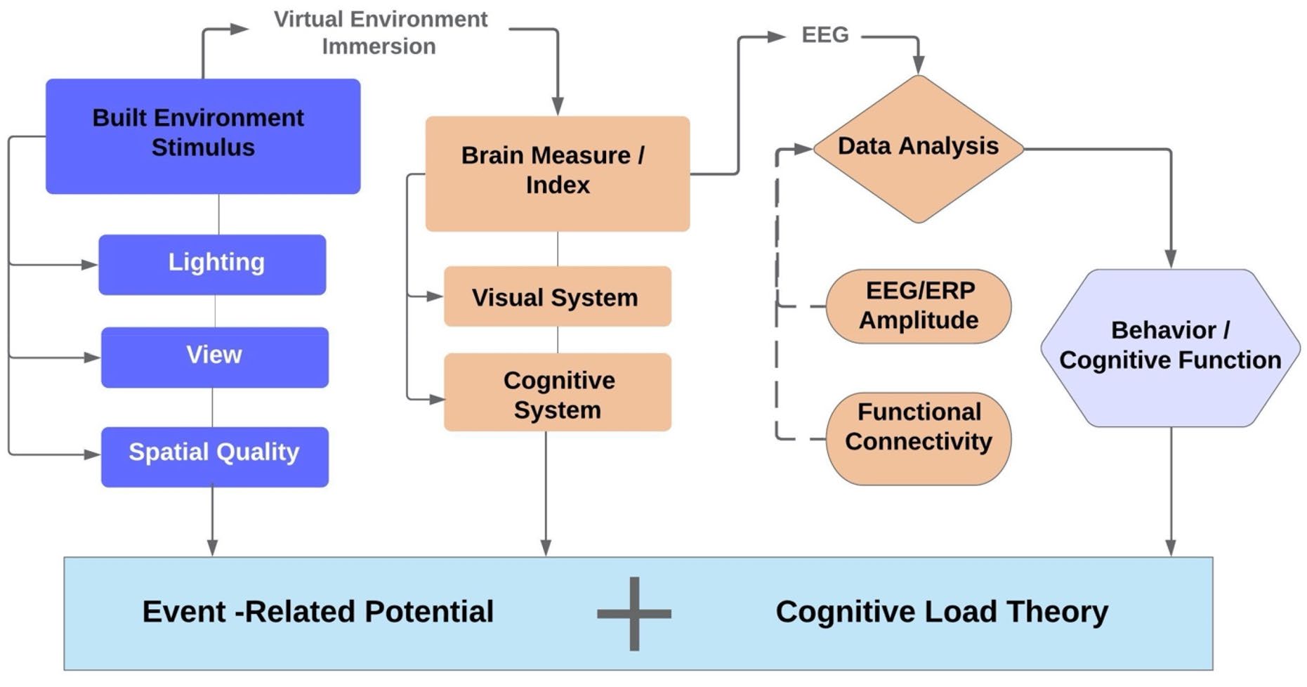 Infographic flow chart for BRAVR lab