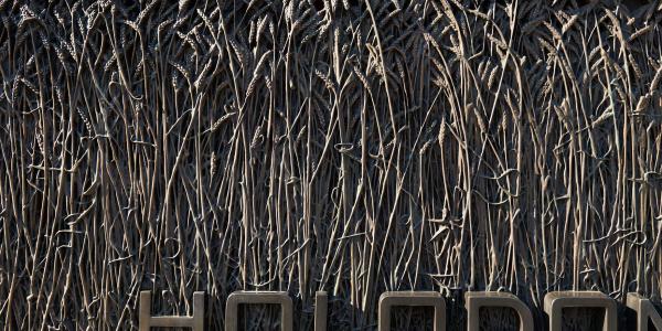 Holodomor memorial