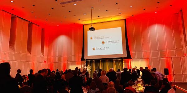 RDEV 6th Annual Awards Ceremony. Red lighting in ballroom.