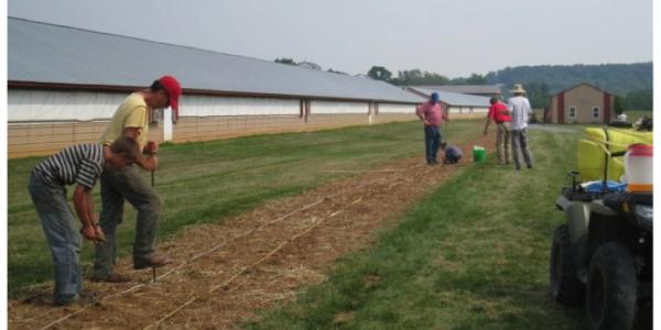 Men on farm