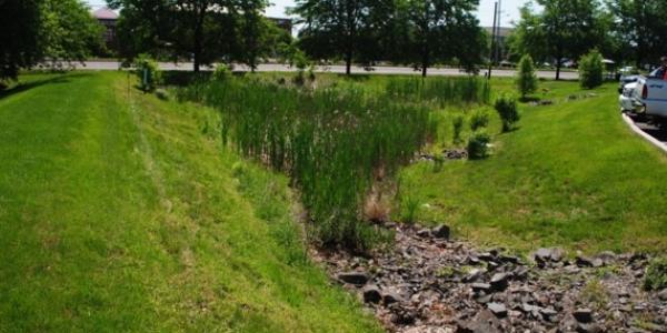 Green infrastructure