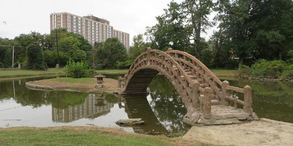 Bridge of Life on Cedar Hill