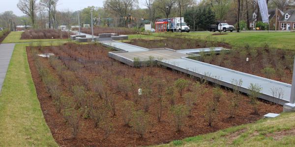 Stormwater Management Green Infrastructure