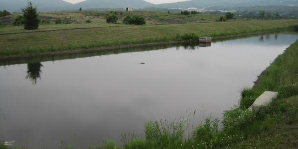 Scranton stormwater pond