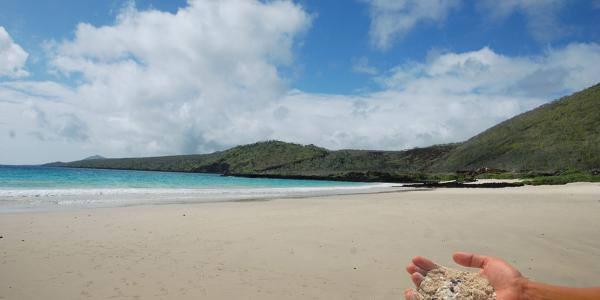 A sandy beach, ocean view and sand in hands