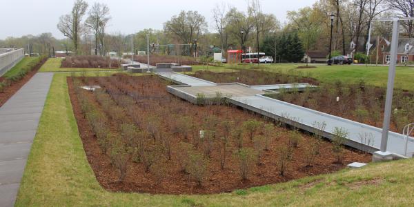 A rain garden near Riverdale Park in Maryland