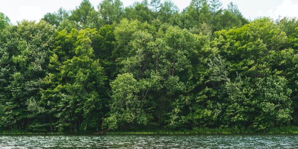 View of shore from the Delaware River in Dingmans Ferry, PA