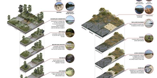 GIS expanded layered graphic showing forest streams and sea level rise on costal marsh