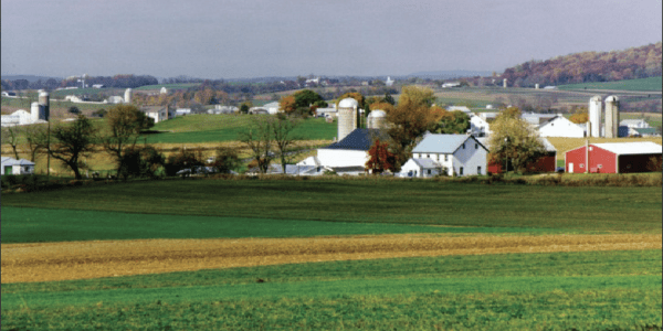 Farm field 