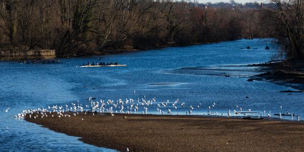 Bladensburg Waterfront Park in Prince George's County, Maryland