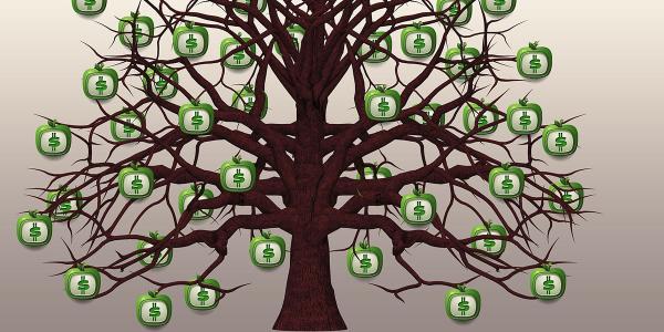 An illustration of a tree with dollar signs a leaves