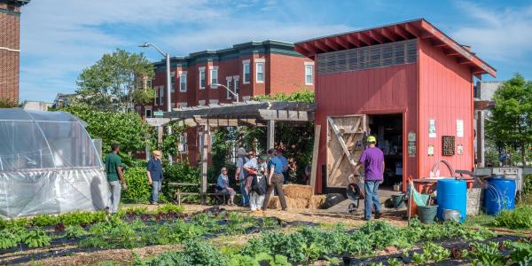 People in an urban farm with buildings in the background