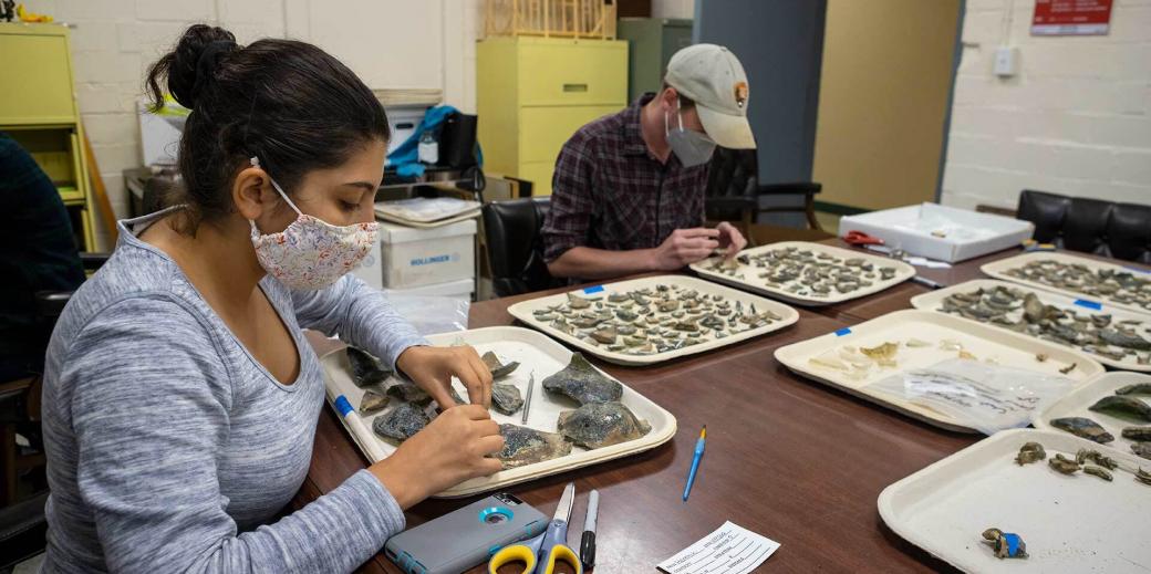 Students sorting through glass and ceramic pieces