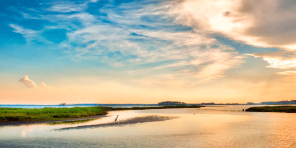 Photo of the Chesapeake Bay