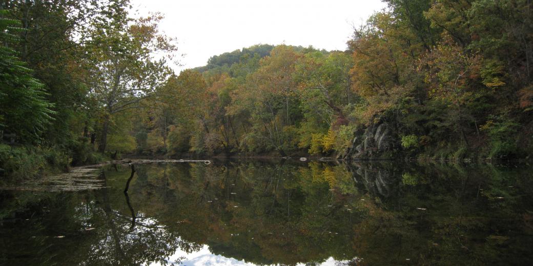 stream in forefront and trees in the background