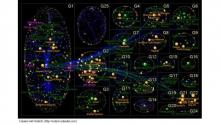 Illinois network image, created by Dempwolf, was modeled using NodeXL.