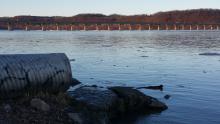 Stormwater pipe and river