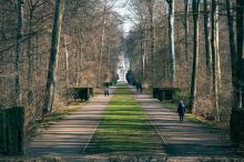 Picture of an urban green space