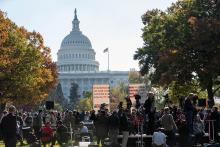 Social Justice March in Washington DC and Capitol building in background