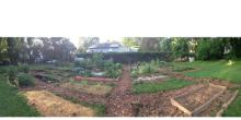 Flower and vegetable beds in a community garden. 