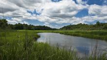 Pam Aquilani, Mispillion River Tributary