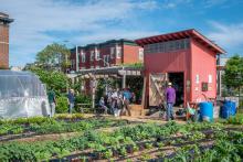 People in an urban farm with buildings in the background