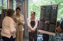 People looking at a presentation board by a large window with greenery outside