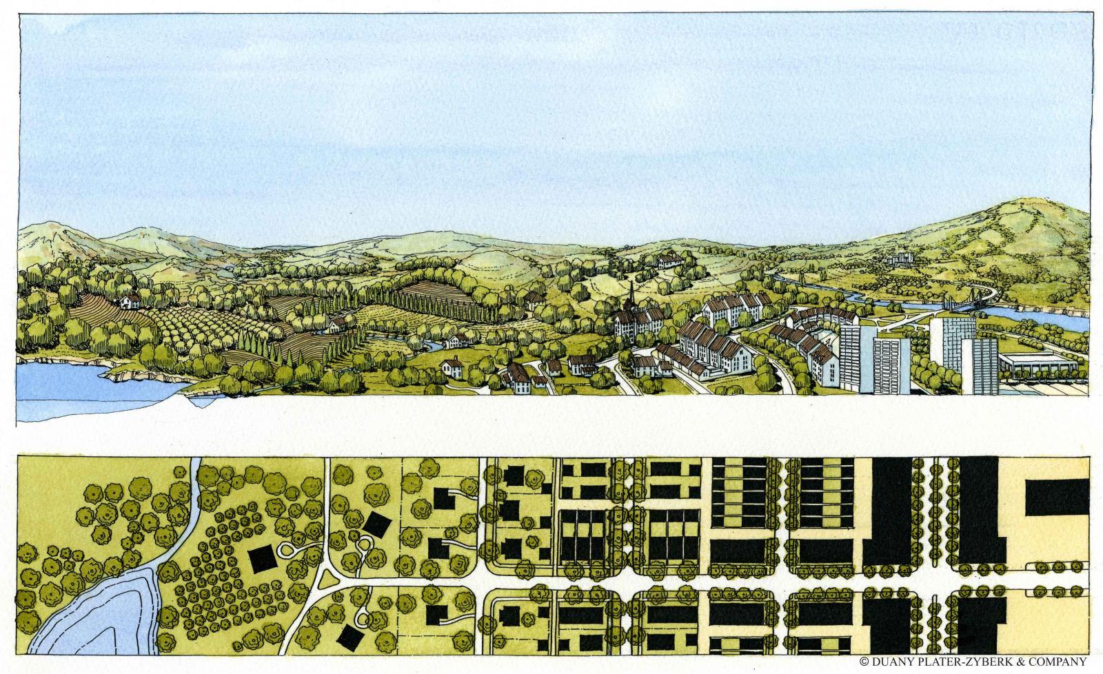 Transect