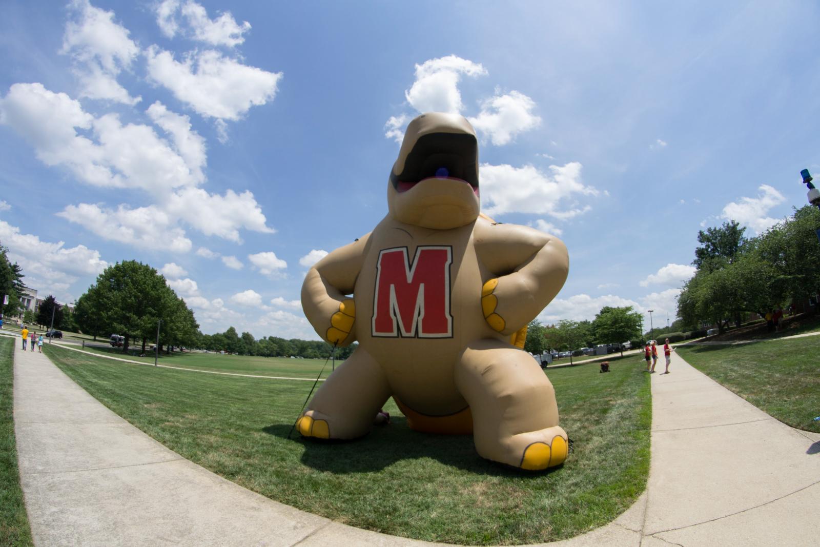 Blow up Testudo 