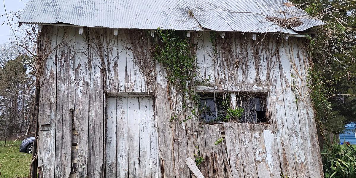 Click for more information about Hush Arbor log cabin