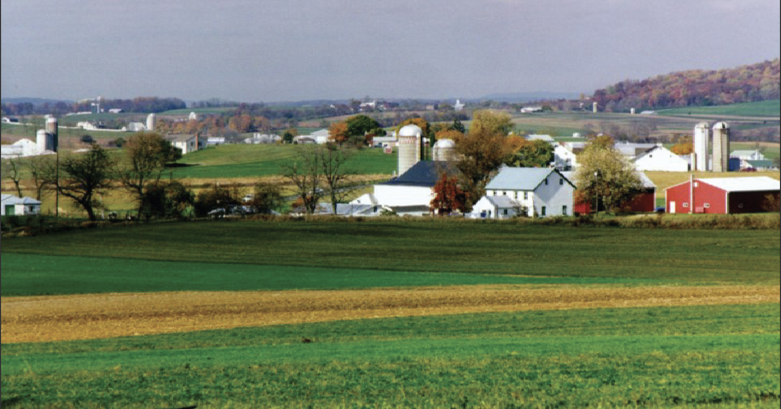 Farm field 