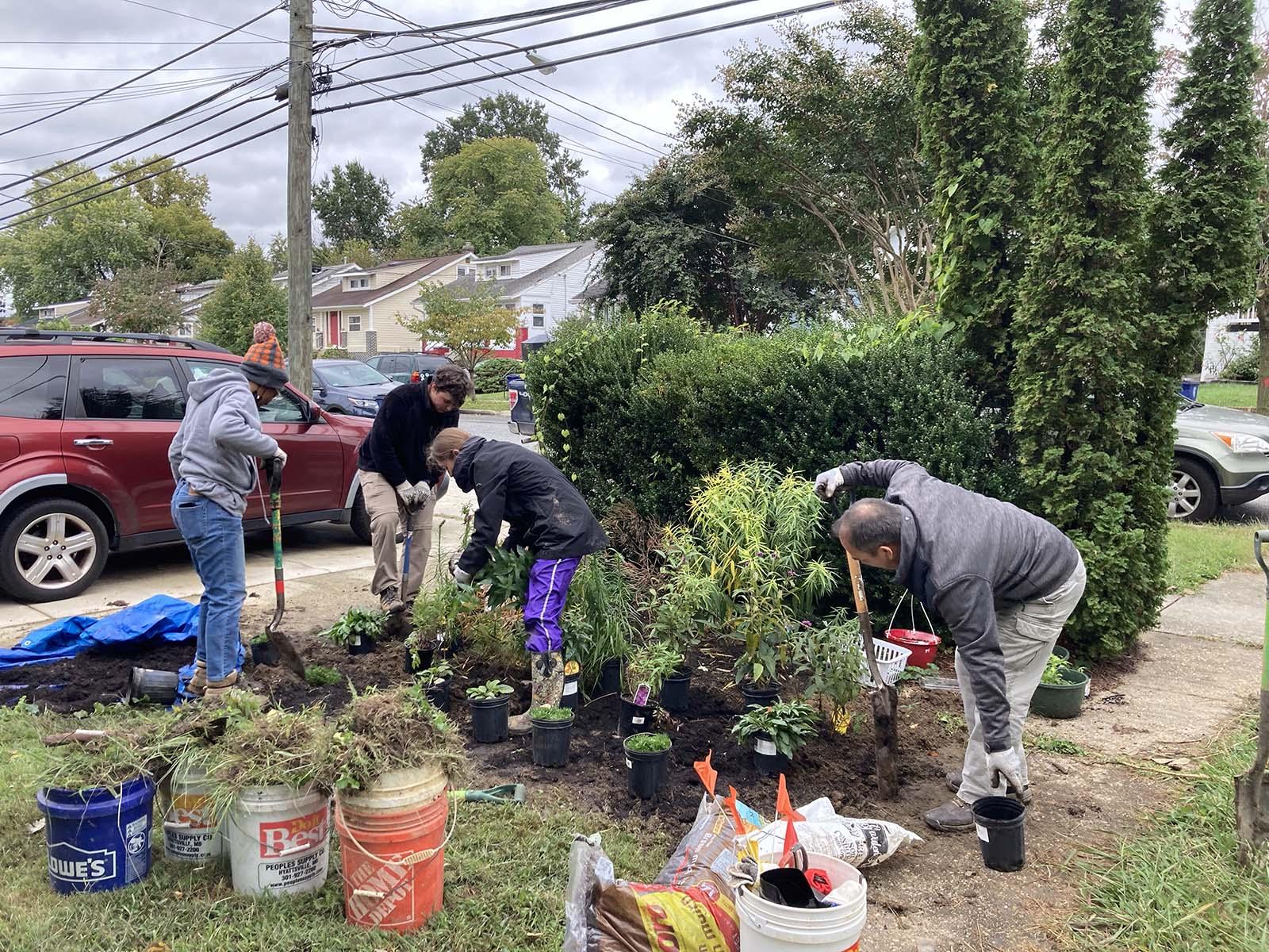 People planting trees and plants in a house garden in North Brentwood