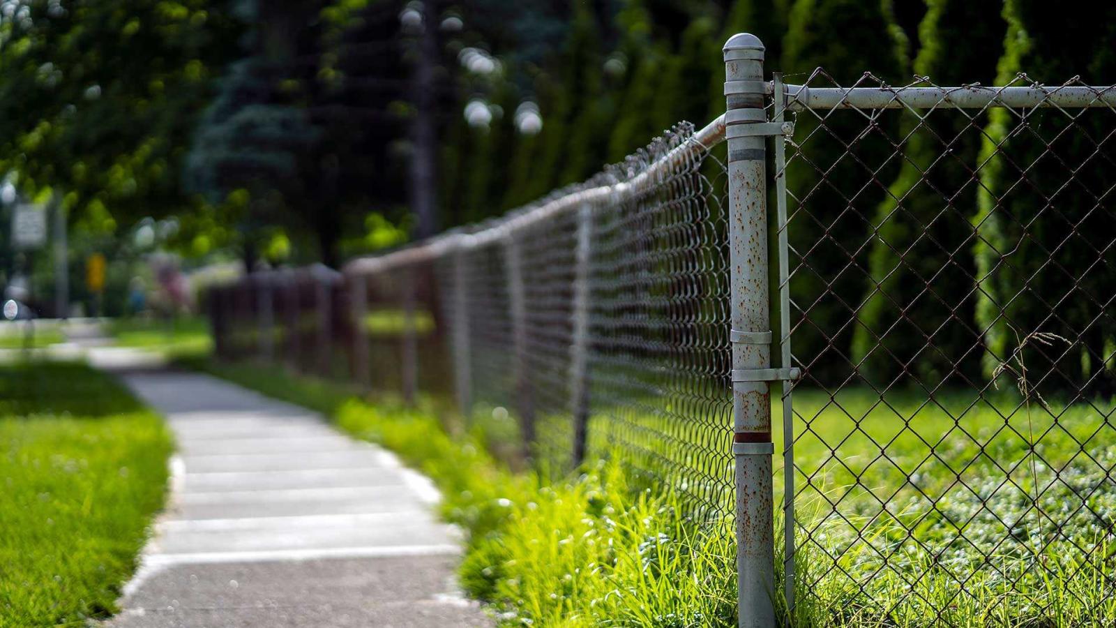 Chain-link fence in a green neighborhood