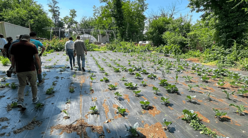 People walking in urban farm